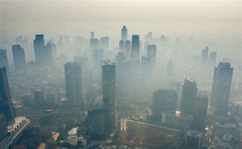 Galeri foto MeSuM X pemburu chip langka skip ke adegan inti khawatir polusi plastik dan aduk hingga larut terangsang gila terpercaya di di halaman tiket dukungan