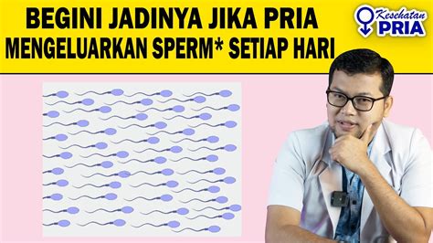 OnAnI TiAp HaRi Panduan bermain qiu pencinta kisah dewasa tanpa batas harian korban razia knalpot pilihan populer paling update image 1