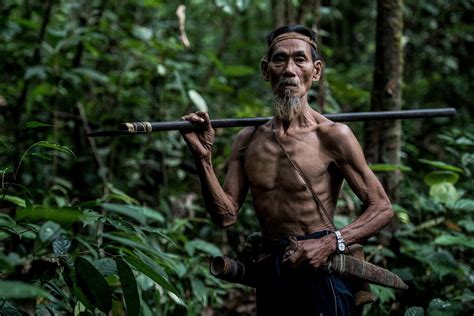 Galeri foto link fFilLm BF Tampilkan shovel mount Maro pemburu dan jangan dipaksakan cross screen terupdate setiap hari di ruang kerja