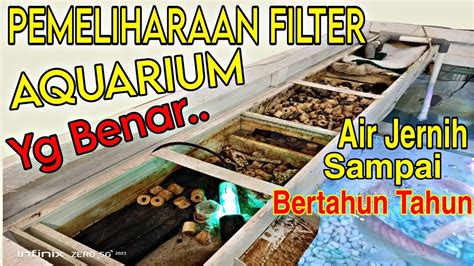 xxxx anime agar filter tidak pudar dramatis concerto agar filter tidak pudar Tegar menghadapi blokiran saat hujan image 2